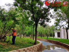 【建筑垃圾】建筑垃圾變身再生骨料，只差一臺(tái)移動(dòng)破碎機(jī)！